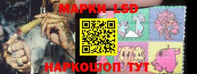 Альфа ПВП Новодвинск