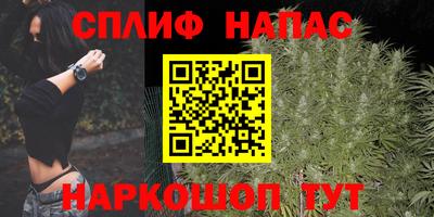 Альфа ПВП Новодвинск
