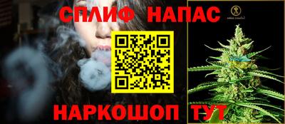 Альфа ПВП Новодвинск