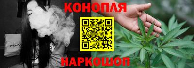 крисы Новозыбков