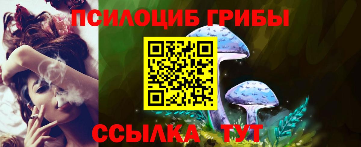 Галлюциногенные грибы GOLDEN TEACHER  Псилоцибиновые грибы MAGIC MUSHROOMS  Сатка  Вход с VPN 